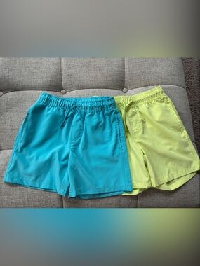 Cat & Jack Teal and Lime Swim Shorts Duo